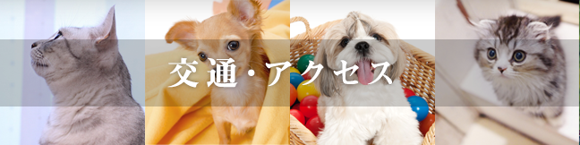 交通・アクセス