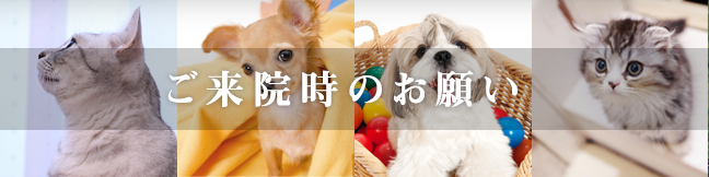 ご来院時のお願い