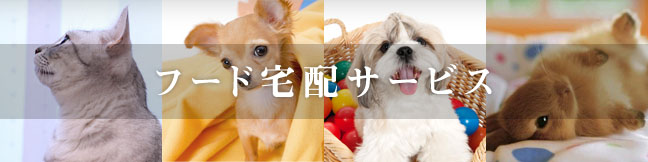 フード宅配サービス