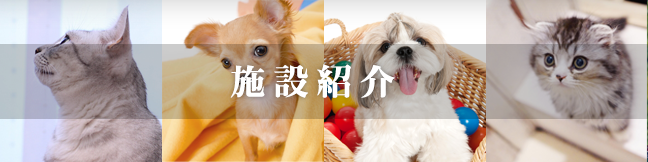 施設紹介