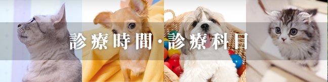 診療時間・診療科目