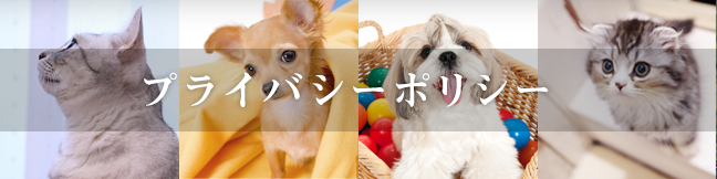 プライバシーポリシー