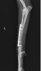 切り取り３左_01